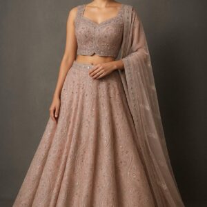 AW Sahar Dust Blush Lehenga Set-SDBL0008SRG